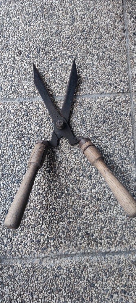 Tesoura de Poda de Arbustos